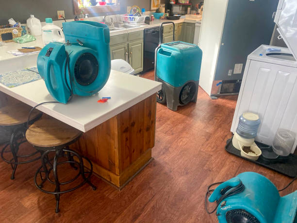 Best Ceiling water damage repair  in Pinehurst, TX