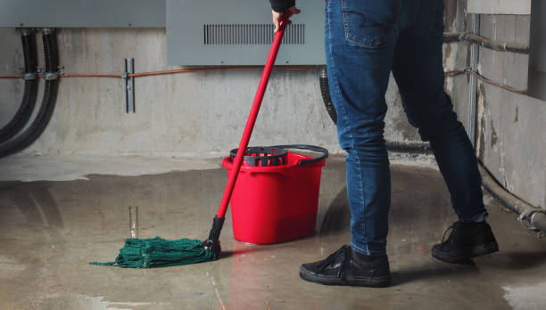 Best 24-hour water damage restoration  in Pinehurst, TX