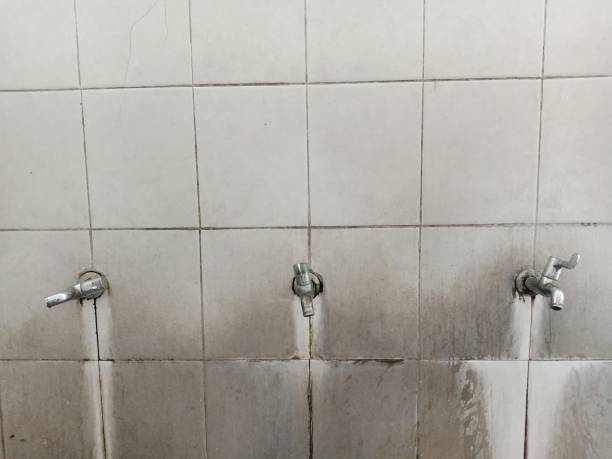 Best Flood damage cleanup  in Pinehurst, TX